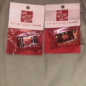 Fitbit Flex Charms Set of 2